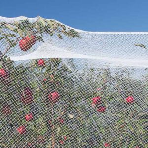 Garden-Netting_02