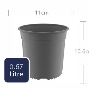 TEKU Round 11cm (VCC12VOL)  (.65L)