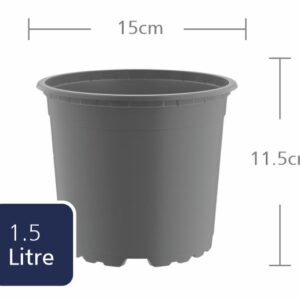TEKU  Round 15cm (VCG15) (1.5L)