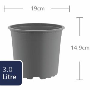 TEKU Round 19cm Standard (VCG19) (3L)
