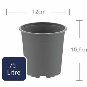 TEKU Round 12cm (VCH13VOL) (.75L)