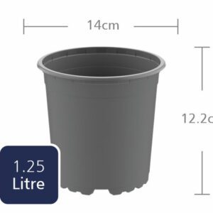 TEKU  Round 14cm (VCH14) (1.25L)