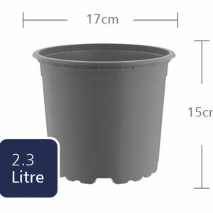 TEKU Round 17cm (VCH17) (2.3L)