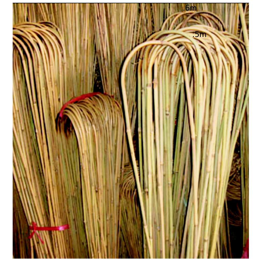 Bamboo Hoops Egmont Commercial