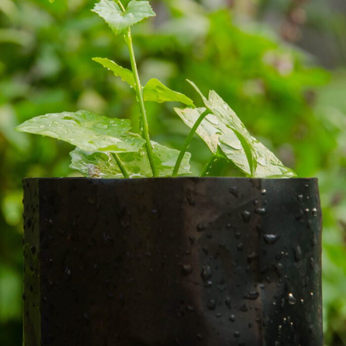 Planter Bag Round Bottom | All Stake Supply