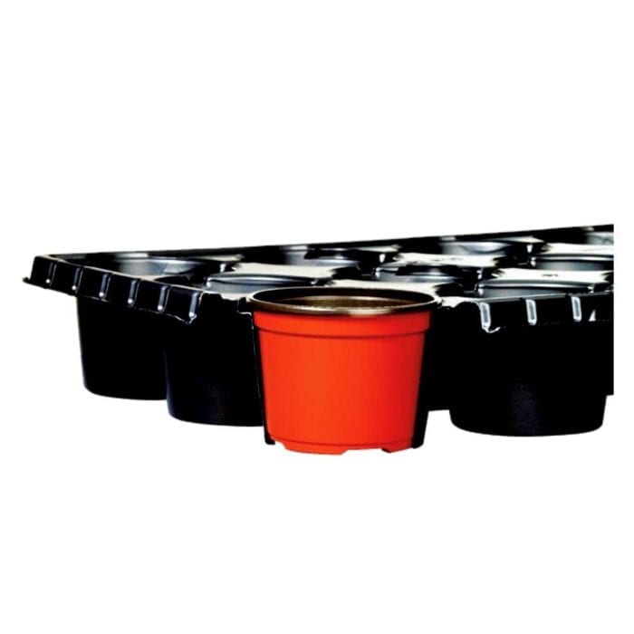 TT - DT - UT pot Trays