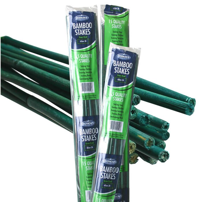 bamboo green web