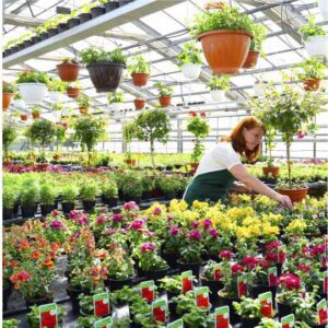 Pots, Trays & Wall Gardens