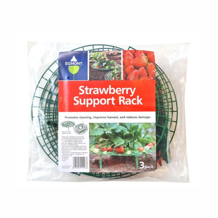 STRAWBERRY SUPPORT