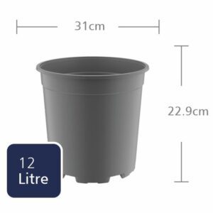 31cm TEKU -  Injection  Moulded  (MCD31) (12L)