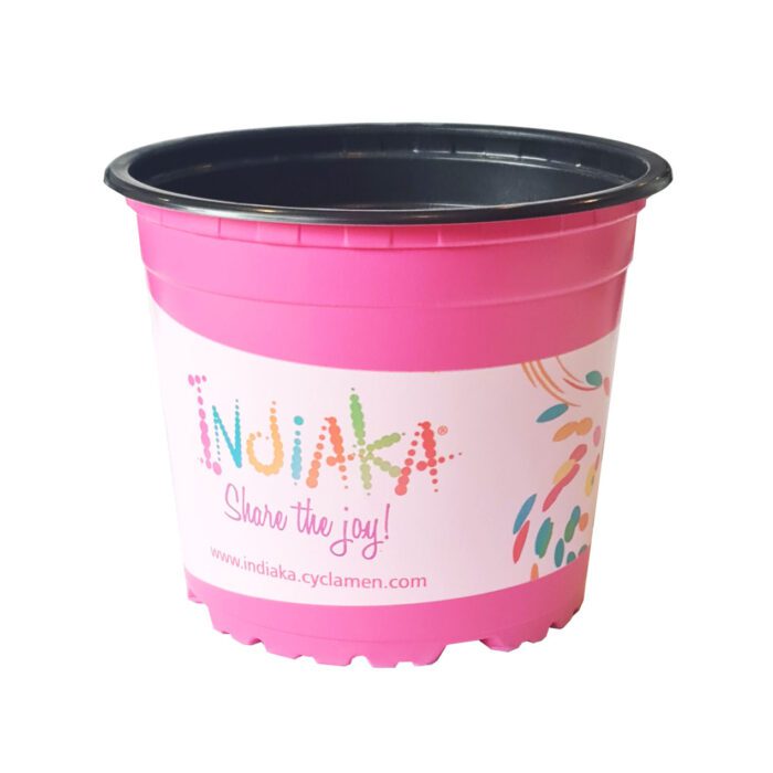indiaka