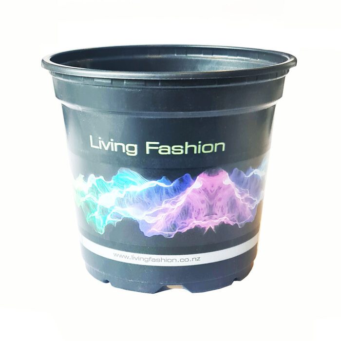 living fashion