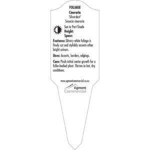 Label_XLFCI119.B.Jpg