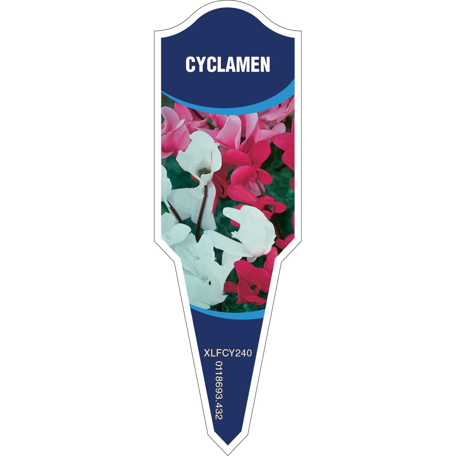 CYCLAMEN - Egmont Commercial