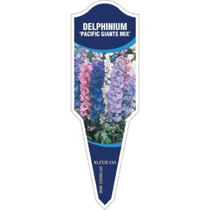 DELPHINIUM Pacific Giants Mix