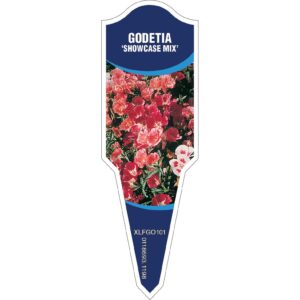 GODETIA Showcase Mix