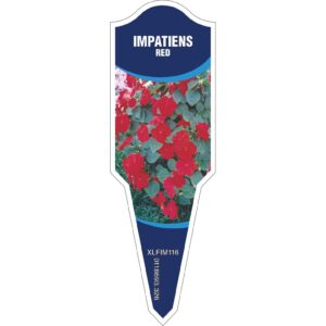IMPATIENS Red