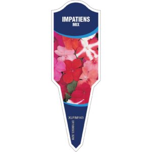 IMPATIENS Mix