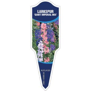 LARKSPUR Giant Imperial Mix