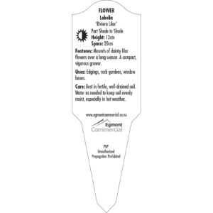 Label_XLFLO115.B.Jpg