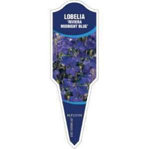 LOBELIA Riviera Midnight Blue
