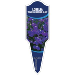 LOBELIA Riviera Marine Blue