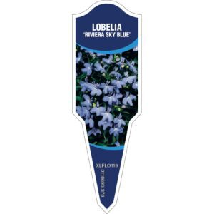 LOBELIA Riviera Sky Blue
