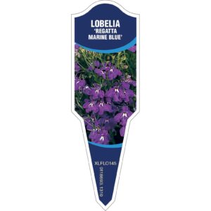 LOBELIA Regatta Marine Blue