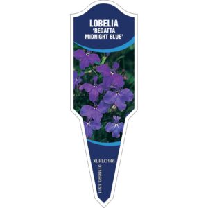 LOBELIA Regatta Midnight Blue