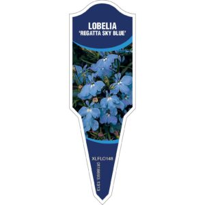 LOBELIA Regatta Sky Blue