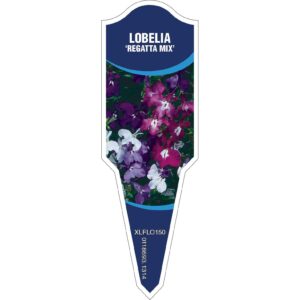 LOBELIA Regatta Mix