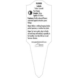 Label_XLFLO175.B.Jpg