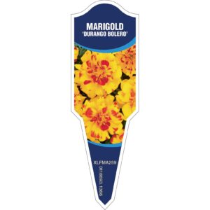 MARIGOLD Durango Bolero