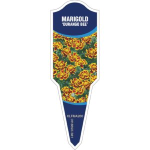 MARIGOLD Durango Bee