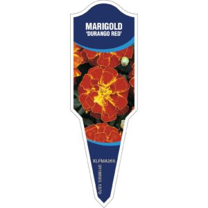 MARIGOLD Durango Red