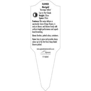 Label_XLFMA266.B.Jpg