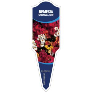 NEMESIA Carnival Mix