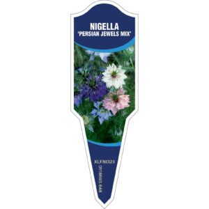 NIGELLA Persian Jewels Mix