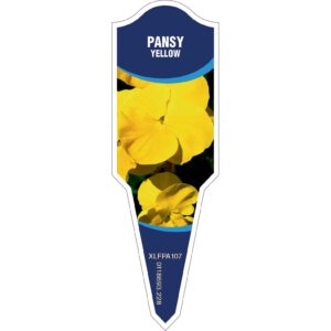PANSY Yellow