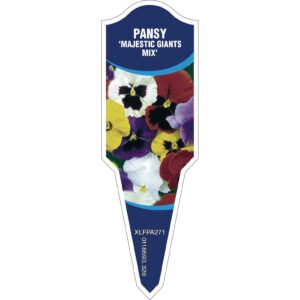 PANSY Majestic Giants Mix