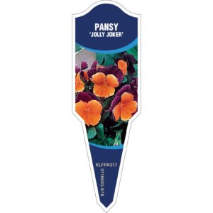 PANSY Jolly Joker