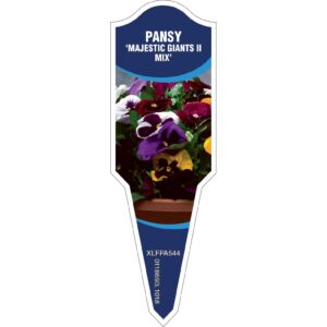 PANSY Majestic Giants ll Mix
