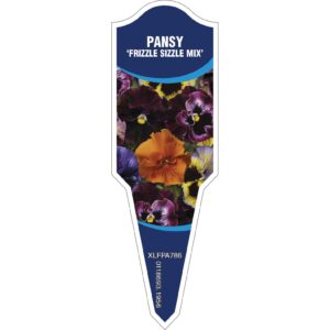 PANSY Frizzle Sizzle Mix