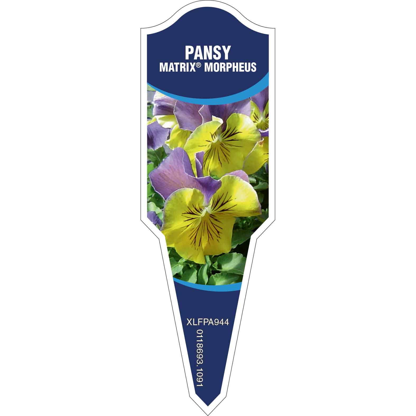 PANSY Matrix Morpheus Egmont Commercial