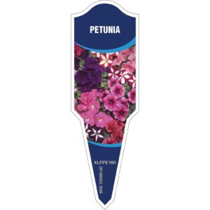 PETUNIA Mix