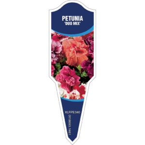 PETUNIA Duo Mix