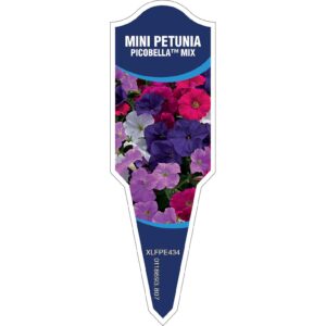 PETUNIA Mini Picobella Mix