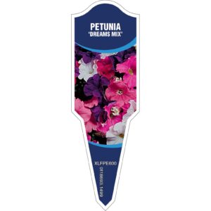 PETUNIA Dreams Mix