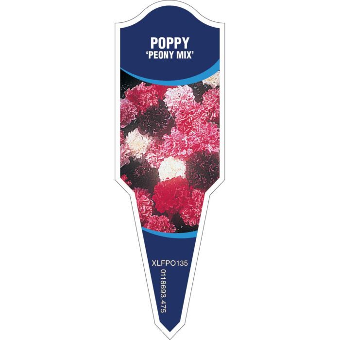 Label_XLFPO135.Jpg