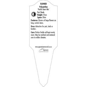 Label_XLFPR160.B.Jpg